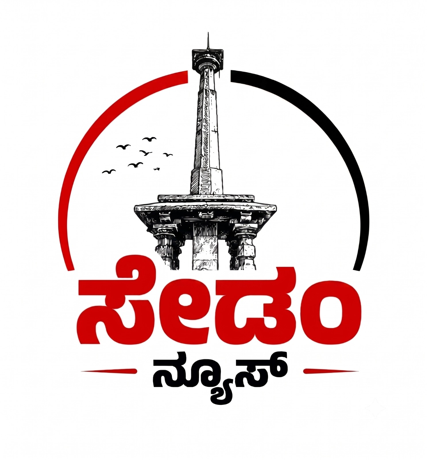 Myna News Logo